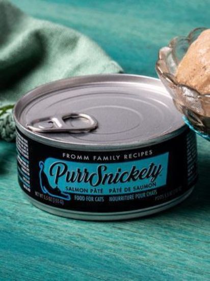 Fromm® Family Recipes PurrSnickety ™ Salmon Pâté Food for Cats